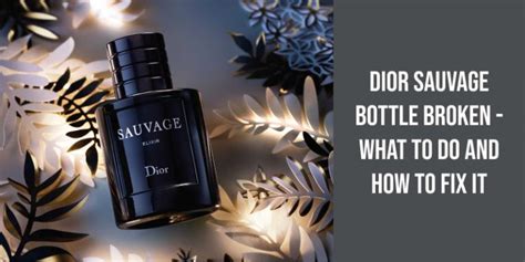 dior broken into
